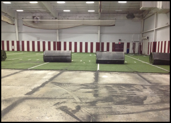 PSHS existing turf demo, May 2017 